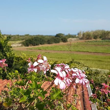 Villa Rosamarina Rosa Marina Bagian luar foto